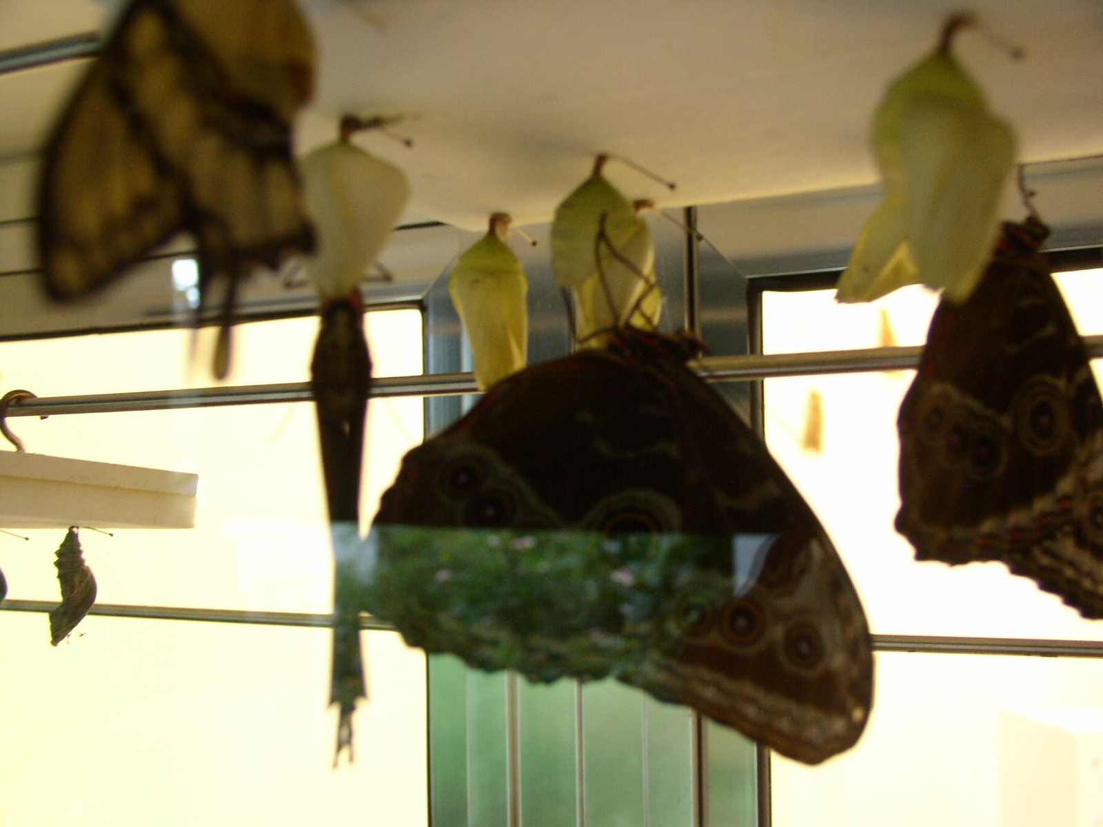 photo1